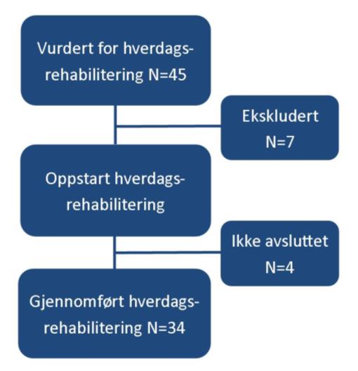 1.1 PILOT HVERDAGSREHABILITERING Hverdagsrehabilitering handler om systematisk og tverrfaglig å rette tiltakene mot de nye brukerne som kommer i kontakt med helse- og sosialkontoret.