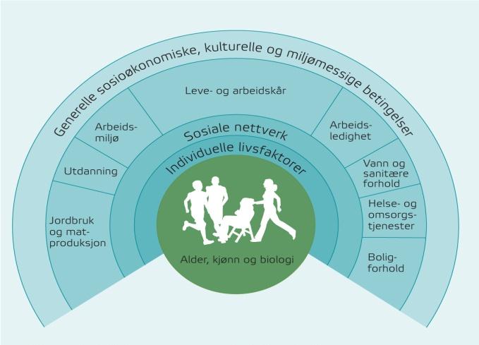 1. INNLEDNING Tema i denne oppgaven er hvordan folkehelselovens krav om å fremme folkehelse kan ivaretas tverrsektorielt i det kommunale planarbeidet.