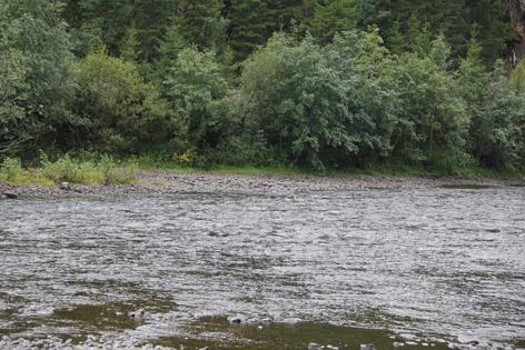 utstrekning på 90 100 meter oppstrøms. Behov for habitattiltak må vurderes i sideløpet.