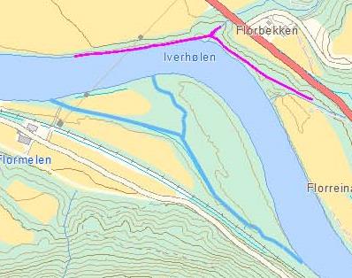 4.1.10 Sideløp ved Svarthølen/Iverhølen. Ved utløpet av Svarthølen skjærer et gammelt, tørrlagt sideløp gjennom en overgrodd elveør (figur 25).