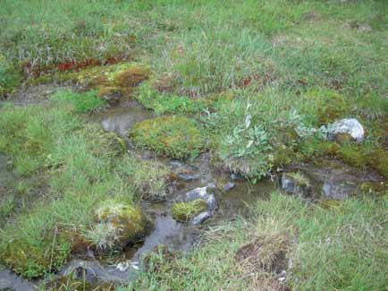 Myr, kilde og flommark Miljøforhold og påvirkninger for rødlistearter Våtmark Flommark Figur 2.