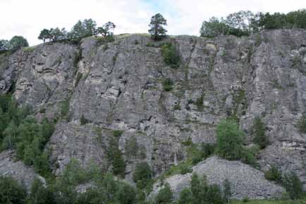 Rasmark, berg og bekkekløfter Miljøforhold og påvirkninger for rødlistearter Bergvegger som denne ved Ålbu, Oppdal i Sør-Trøndelag er viktige naturtyper for mange arter både innen lav og moser.