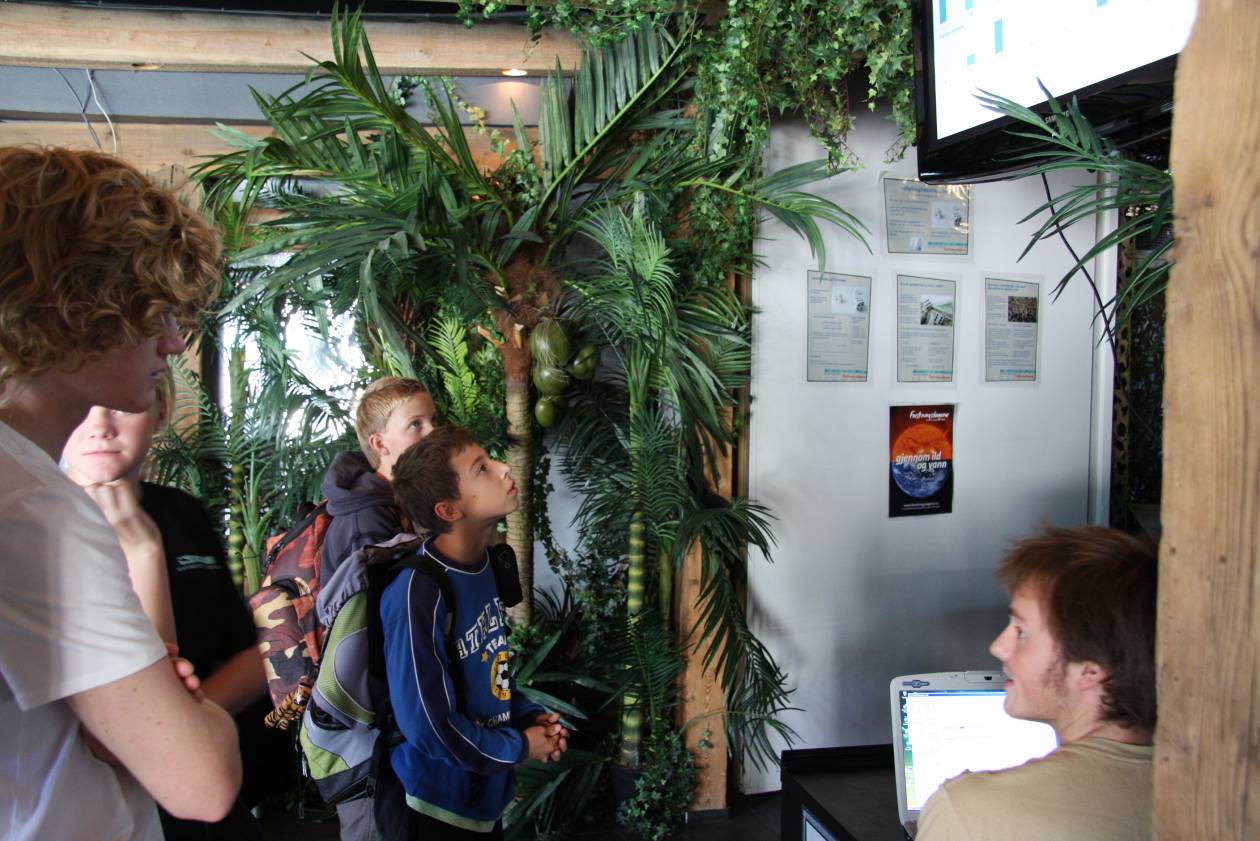 Bakgrunn og innledning Tilfeldighetenes spill var et eksperiment som ble kjørt på Akvariet i Bergen under Forskningsdagene 2008.