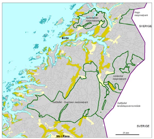 angir områder under skoggrensen, klasse to (lys grønt) at skoggrensen går gjennom området og klasse