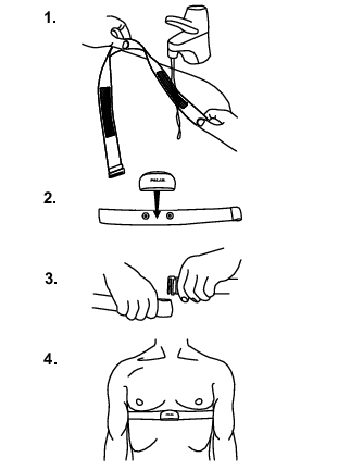 3. TRENING Slik bærer du senderen 1. Fukt elektrodeområdene på stroppen godt under rennende vann. 2. Fest kontakten til stroppen. Juster lengden på stroppen slik at den sitter godt og er komfortabel.