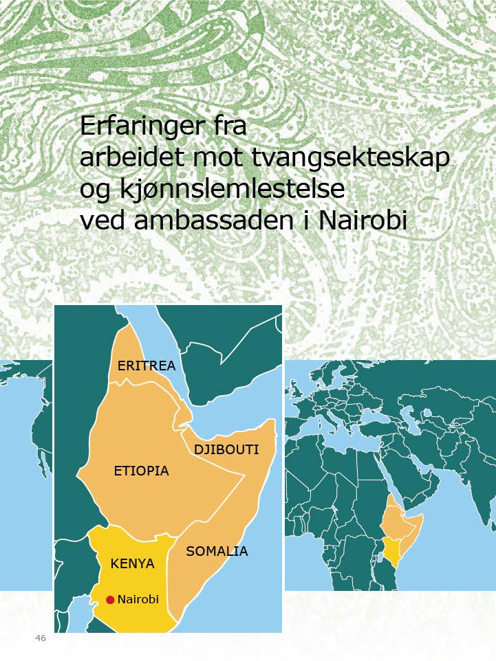 Erfaringsmessig bekjempes kjønnslemlestelse best gjennom en helhetlig tilnærming på landsby/bydelsnivå hvor en samarbeider på tvers av ulike sektorer og fagmiljøer.