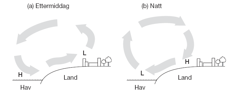 9) Land- og sjøvind er monsunvind i liten skala over et døgn. Om dagen varmes landområdene raskere opp enn havoverflaten.