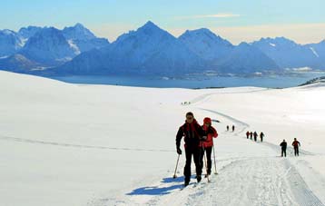 For informasjon om prepareringsstatus, se www.skisporet.no Både Stokmarknes, Lekang og Melbu har gode og velfungerende lysløyper. Lysene tennes kl 17 og slukkes ca kl 23. Hvordan finne startpunktene?