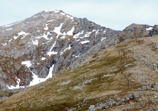 I gjennomsnitt hever myrområdet seg bare ti meter over havflata. Den varierte naturen med mange strender, myrer, fjelltopper, elver og fiskevatn gjør Andøya til et fantastisk område å ferdes i.