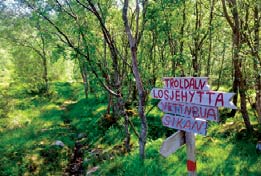 Mot Lynghaugtinden: Fra P- plassen ved Fjærvoll barnehage følger du stien på nordsida av Fjærvollfjellet og videre på skogs-/traktorvei mot Soppåsen.