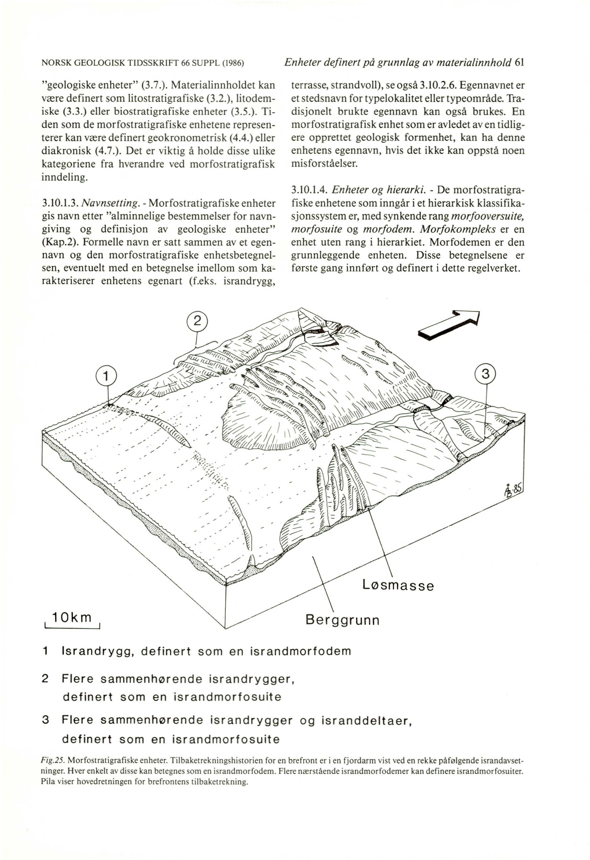 NORSK GEOLOGISK T IDSSK RIFT 66 SUPPL (1986) "geolo giske enheter" (3.7.). Material innholdet kan væ re definert som litostratigrafiske (3.2.), litodemiske (3.3.) eller biostra tigrafi ske enheter (3.