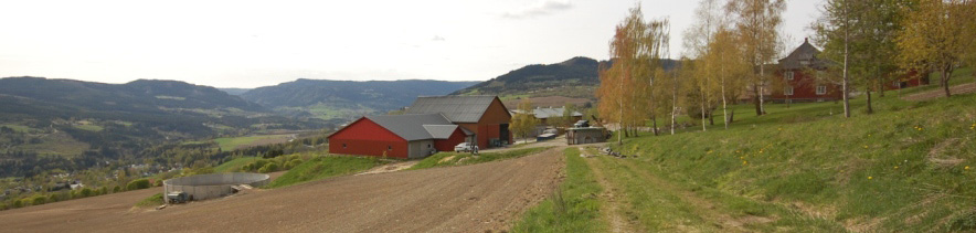 Grisehus på Fougner Søndre i Gausdal kommune, Oppland Garden ligg eksponert i eit vidt dalføre med opne areal inntil tunet. Bygga ligg på terrassar innpassa i åkerlandskapet.