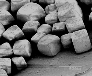 Bildet under viser saltkrystaller (NaCl), sterkt forstørret under mikroskop. De du lager i dette eksperimentet blir mye finere. 0,5mm Vanlig bordsalt under mikroskopet Eksperiment nr.