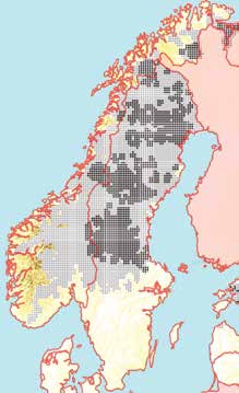 hiplasser, sosial atferd, samt dødelighet og reproduksjon.