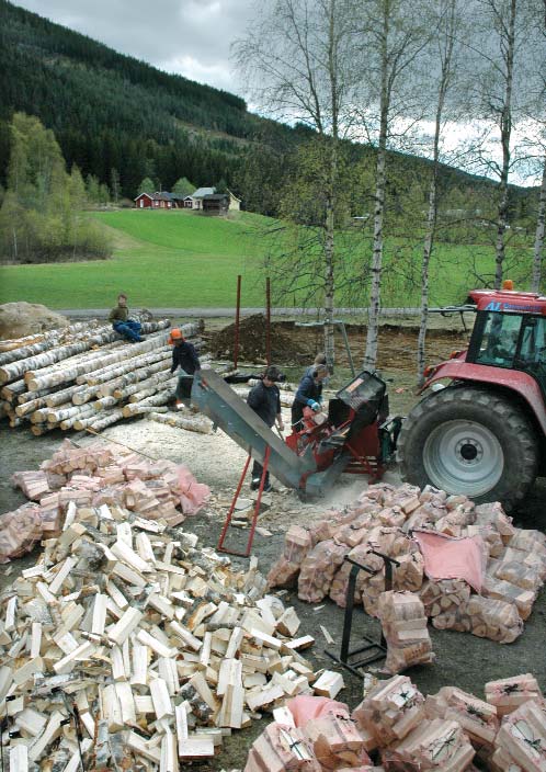 Produksjon og logistikk Vedproduksjon Vedproduksjon foregår i de forskjelligste skalaer, fra enkel selvhogst og manuell kløyving, til produksjon i større industrielle anlegg med maskinell kløyving,