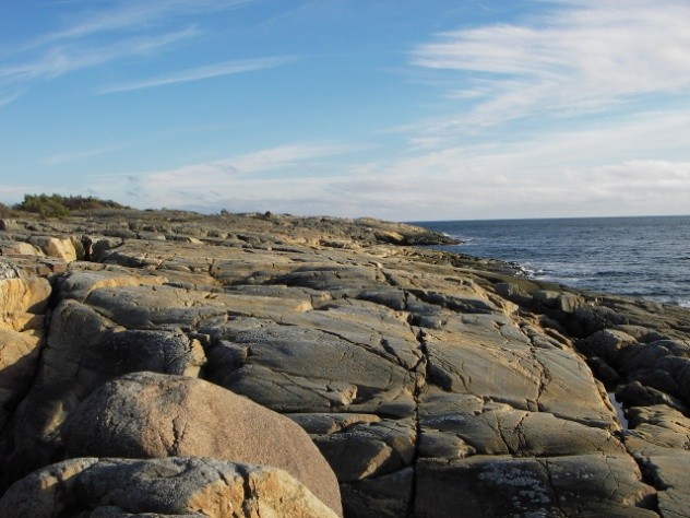 Natur Naturen; trær, planter, stein, svaberg og dyreliv er naturligvis viktige elementer i opplevelsene på stien i det de utgjør en viktig del av stiens omgivelser og skaper de rom vi ferdes i.