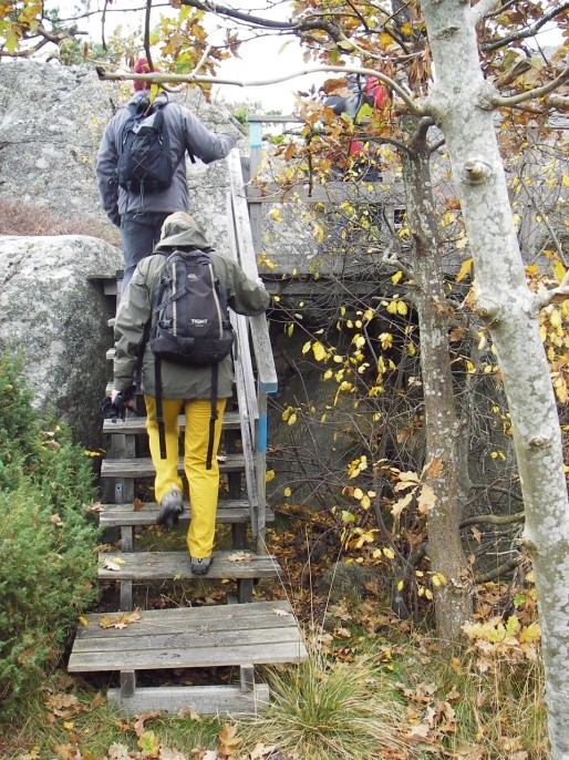 Jeg tenkte også at de her både tretrappene som gikk opp og det tregelenderet ned en sånn (svaberg), det var liksom litt rart eller litt uvant.