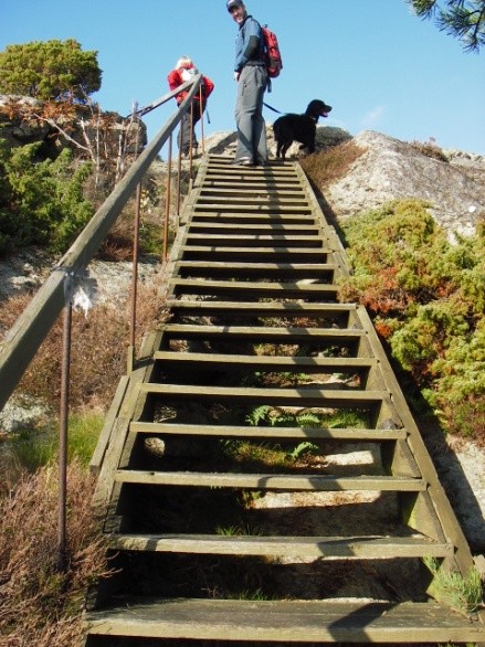 Jeg bare kjente at jeg ble sliten i den trappen, fordi bevegelsen er monoton. Men ellers så skjønner jeg jo at tilretteleggelsen. Der er det greit at det lages en trapp, der det er bratt.