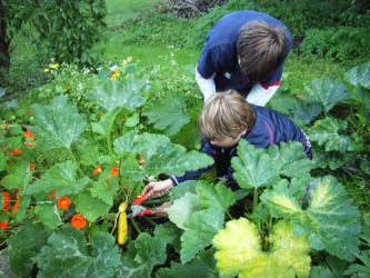 De får et klart forhold til årstidens skifting. De må så og plante om våren, høste om høsten og spise direkte av avlingen fra hagen.