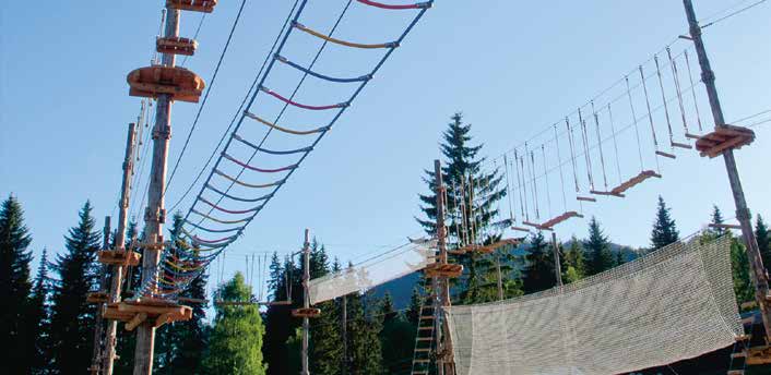 Høyt og Lavt Klatrepark Hallingdal Den største og råaste klatreparken nord for Oslo finn du i Hallingdal Feriepark!