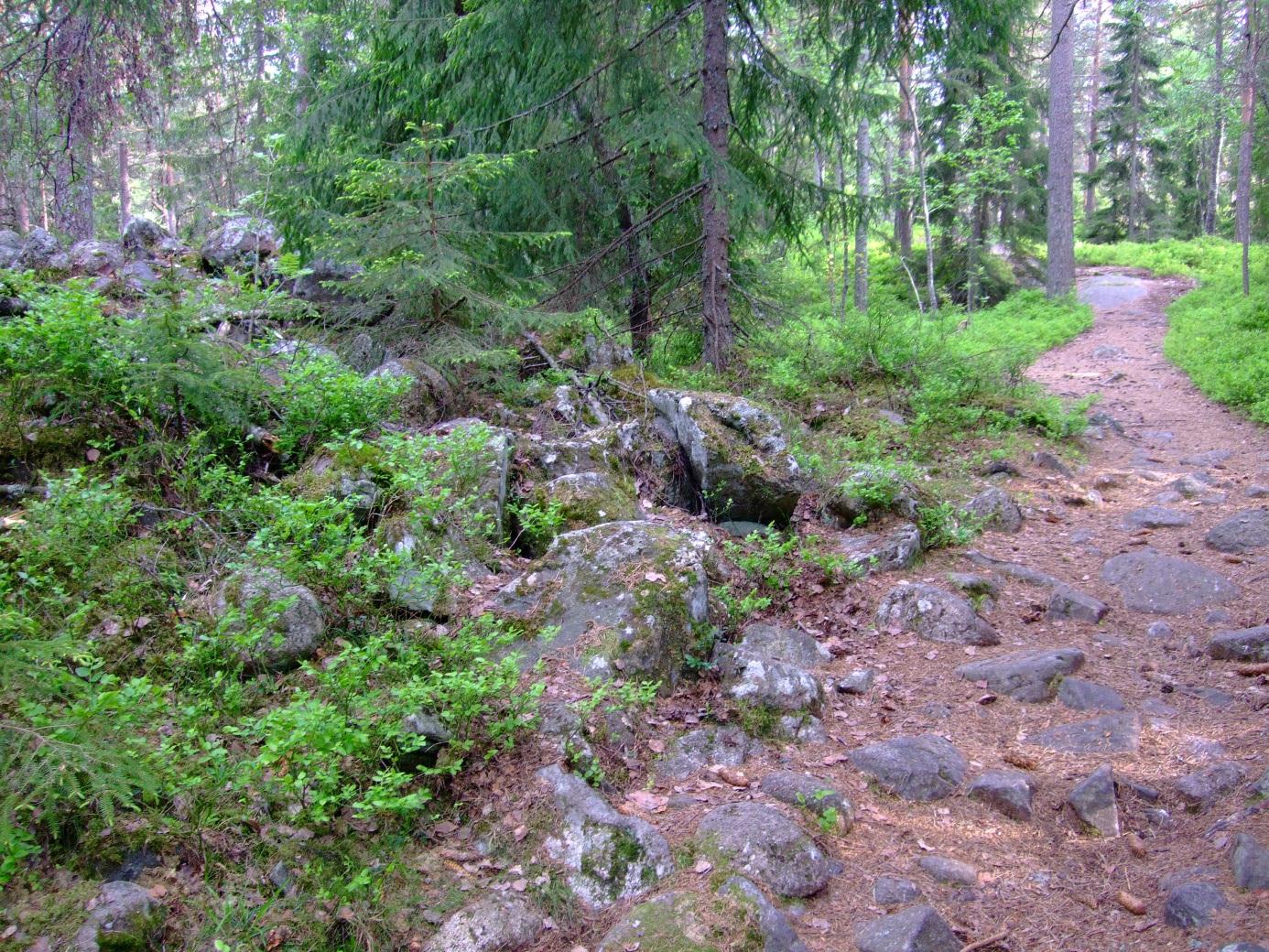 sandstrender i de trærne. Men når man sitter på en stein så blir man en del av steinen, ikke sant? Klatrer man opp i treet så blir man en del av treet, sitter man på mosen så blir man mose.