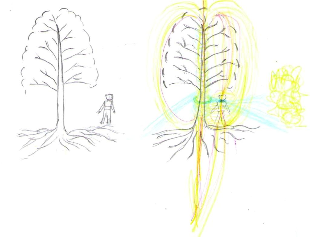 Treet til venstre illustrerer hvordan vi er vant til å se et menneske og et tre sammen. Høyre tre illustrerer hvordan en naturopplevelse kan se ut når energifeltene er tegnet inn.