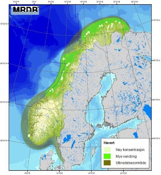 Figur 7-26 Utbredelse av havert i nordiske farvann (MRDB; DN & HI, 2007).