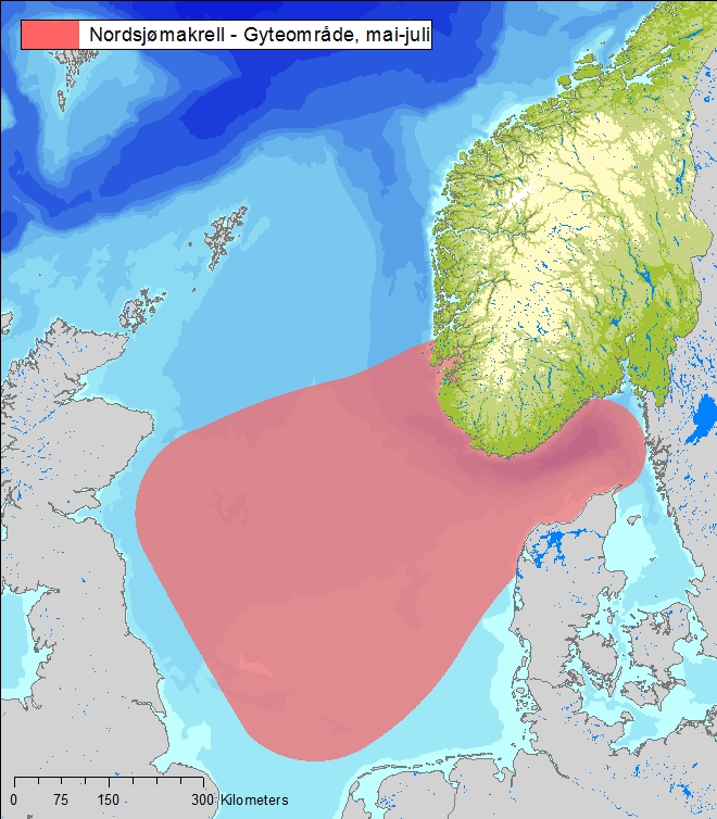 Figur 7-33 Gyteområde for Nordsjømakrell. Plankton Planteplankton Planteplankton er mikroskopiske, encellede organismer som svever fritt rundt i vannmassene.