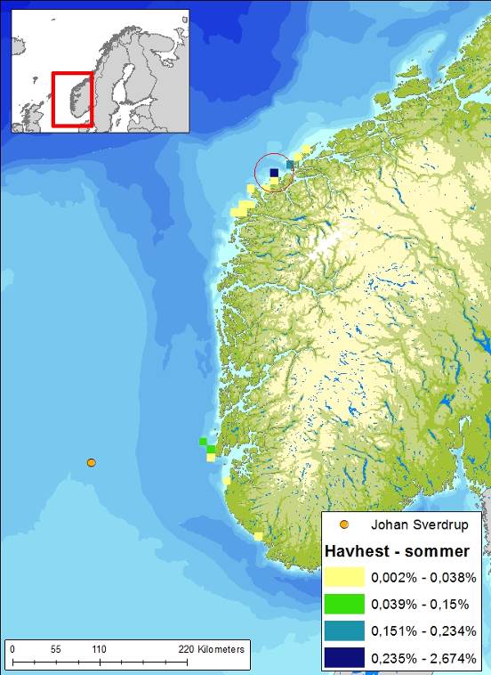Figur 6-17 Fokusområder for lomvi (vår), havhest (sommer), havelle (høst) og sjøorre (vinter) etter utblåsning fra Johan Sverdrup.