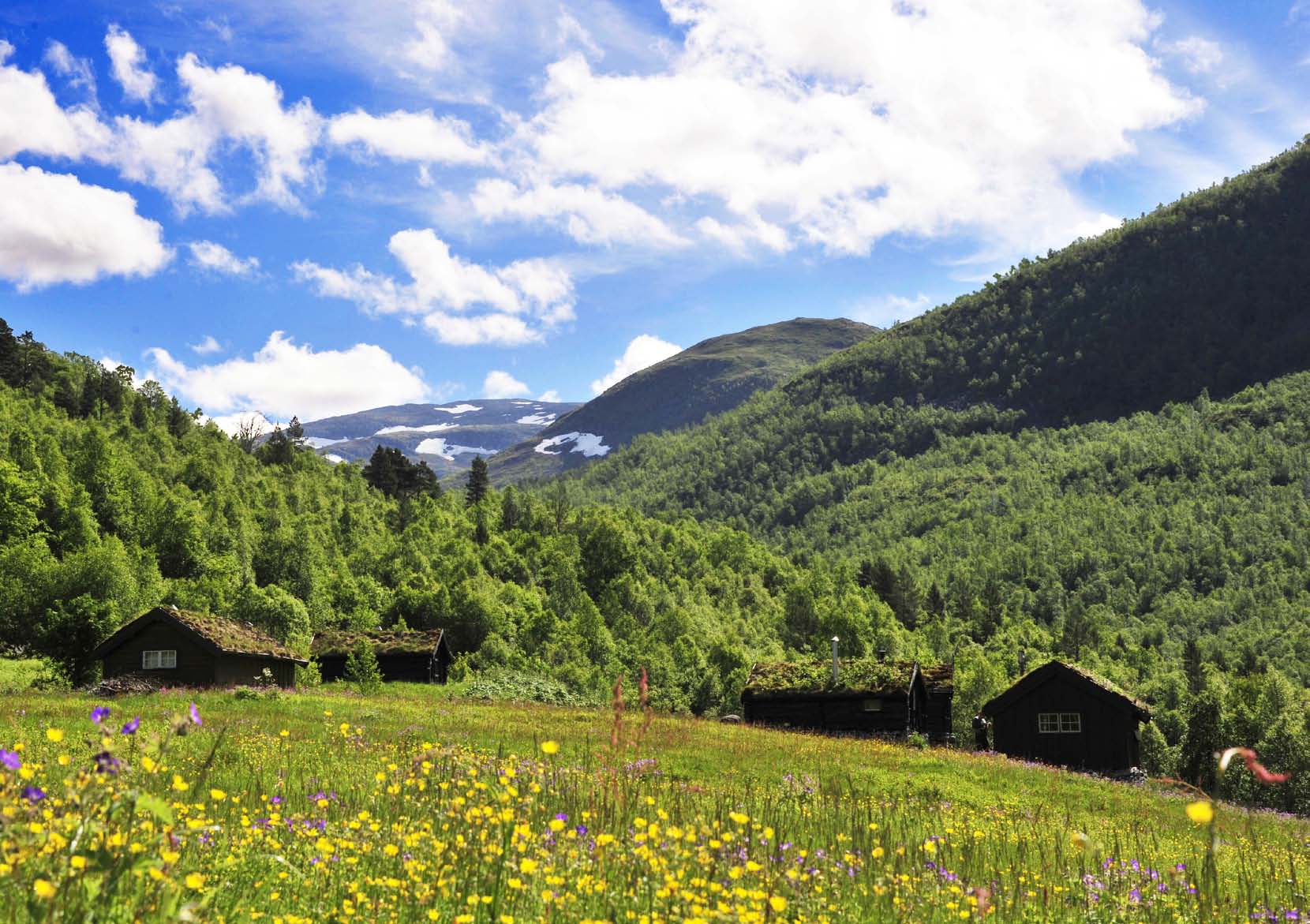 ved Hjellefossen Merking: Infotavle v/parkeringsplassen Høgdeskilnad: Alt. 1: 75 594. Alt. 2: 75 763. Tidsbruk: Alt. 1: t/r 2,5 timar Alt.