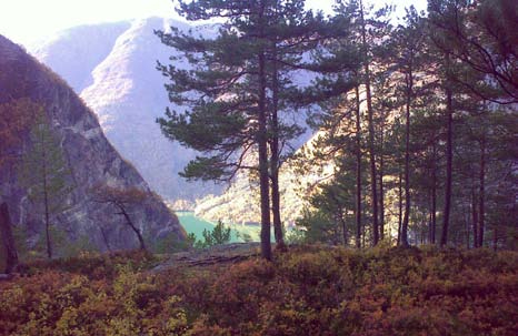 Startpunkt/starting point/start løst (ÅT 1.3) & KVERNLI (KVENNLID) (ÅT 1.