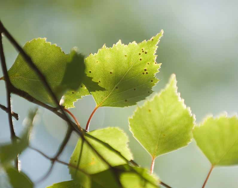 Spørsmål om depresjon Du kan være i tvil om hvilke form for depre sjon du har, og hvordan den fremtrer. Da kan du spørre om følgende: Hva får deg til å tro at jeg er deprimert?