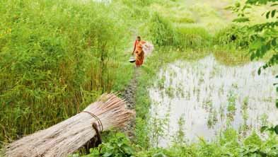 Samarbeid for renere produksjon i India Renere vann og et tryggere arbeidsmiljø for et stort antall arbeidere i India.