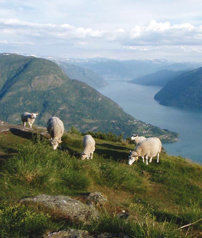 6 Avslutning Vi har nå presentert en rekke tiltak som (i større eller mindre grad) kan bidra til å redusere klimagassutslippene fra jordbruket i Norge.