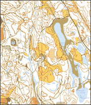 Konkurransekart Kart som dekker områder over 3 km 2 med målestokk er 1:10 000 eller 1: 15000.