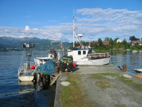Rapport 2012 Miljøgifter i fisk og fiskevarer 2011: Kvikksølv i