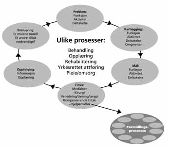 Hjelpemiddelprosessen Hjelpemiddelformidling en del av et større system (Trygdeetaten 2001) Det finnes flere profesjonsmodeller om aktivitet, person og omgivelser som er relevante, f.eks.