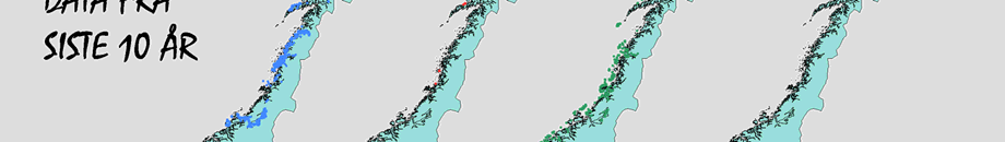 I regi av NoBaLeS (NorskBarentshavLeteSamarbeid), er imidlertid nyere data fra kystområdene i Finnmark for høst, vinter og vår blitt innhentet ved