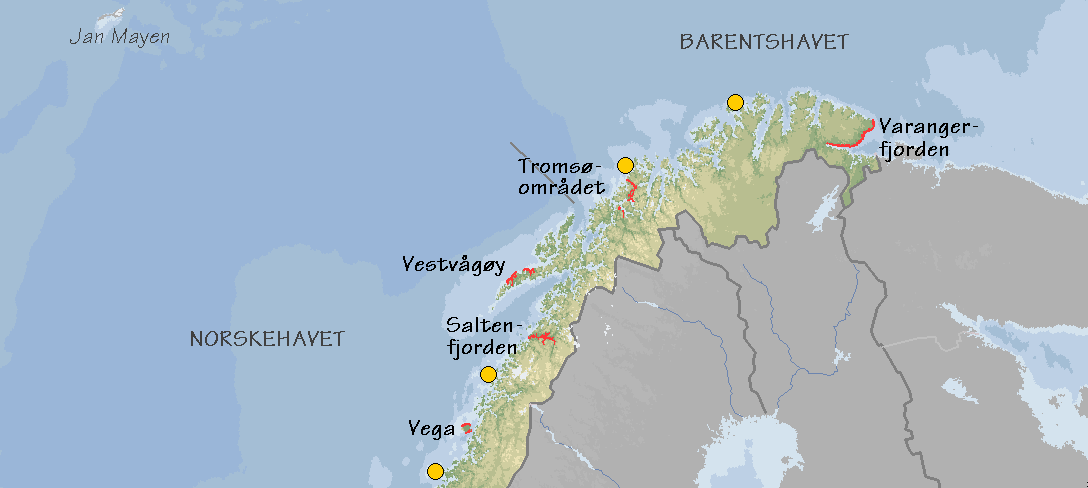 bestander anbefales å foregå løpende på i praksis 1-3 nøkkellokaliteter innenfor hver av de fem regionene SEAPOPs virkeområder er inndelt, avhengig av størrelsen på sjøfuglbestandene og regionens