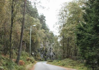 Veinettet og flaskehalser Flaskehalsene