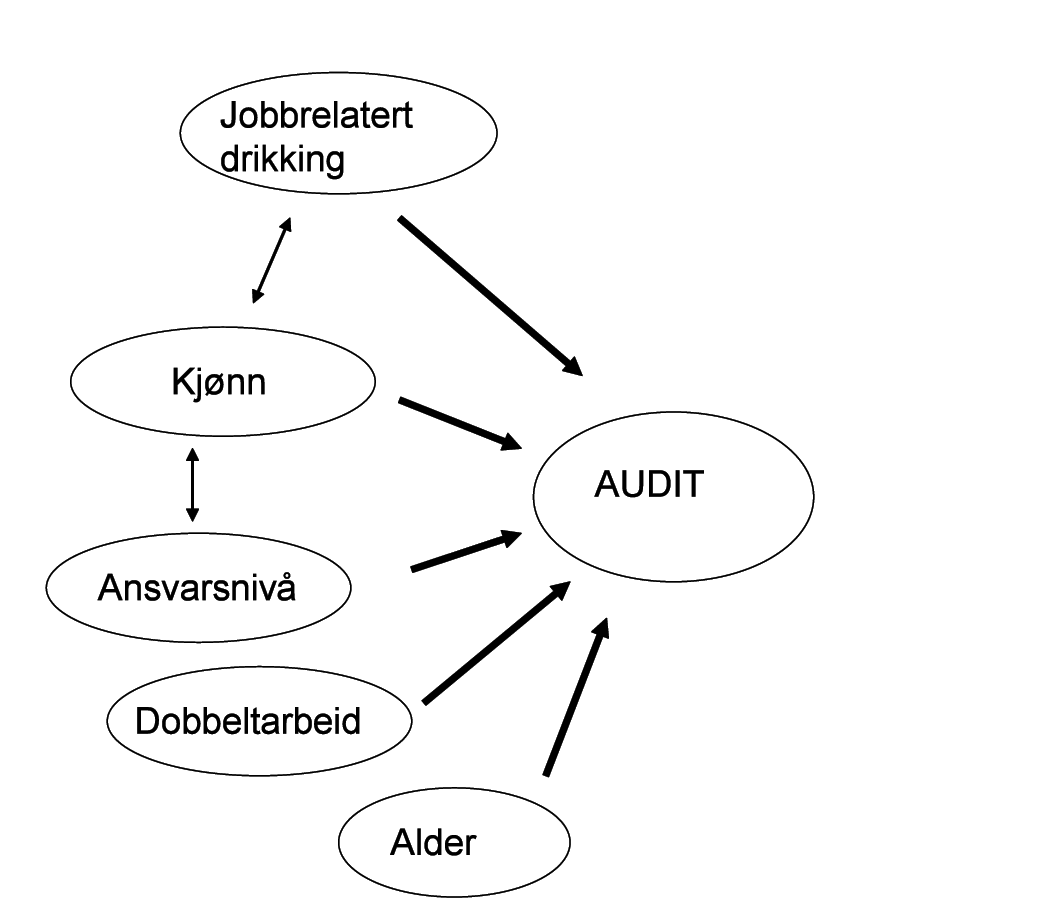 Rusmiddelvaner i det kvinnedominerte arbeidslivet Sammenheng med risikofylt alkoholbruk utvikling av mer overordnet modell Vi har så langt fremstilt sammenhenger mellom enkelte demografiske og