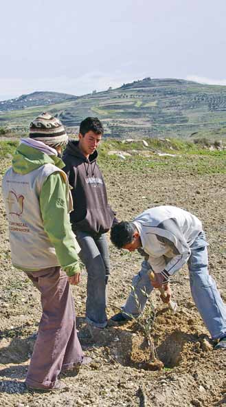 E t s a n n h e t e n s ø y e b l i k k 3. Håp 18 Internasjonal volontør planter oliventrær sammen med palestinsk ungdom på Vestbredden Foto: Guilaume Fardel, EAPPI 3.