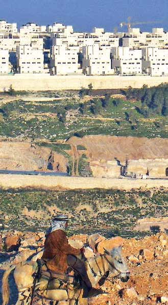 K a i r o s P a l e s t i n a 10. Håp og fortrøstning til Gud En palestinsk bonde rir forbi den israelske bosetningen Har Homa utenfor Betlehem Foto: EAPPI 10.