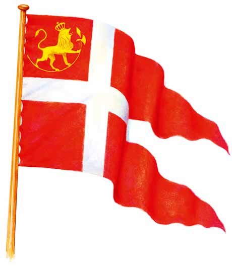 Flagget ble tatt i bruk Utover våren og sommeren 1814 ble det nye flagget heist i store deler av Norge. Meddelelsene om flagget ble hurtig spredd over landet gjennom avisene.