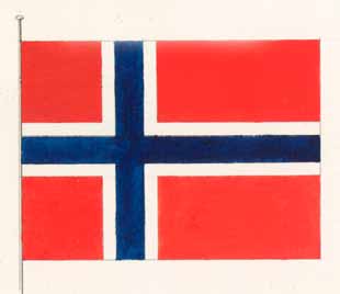 Frederik Meltzer foreslo med utgangspunkt i dette, at flagget skulle bestå av et skandinavisk kors.