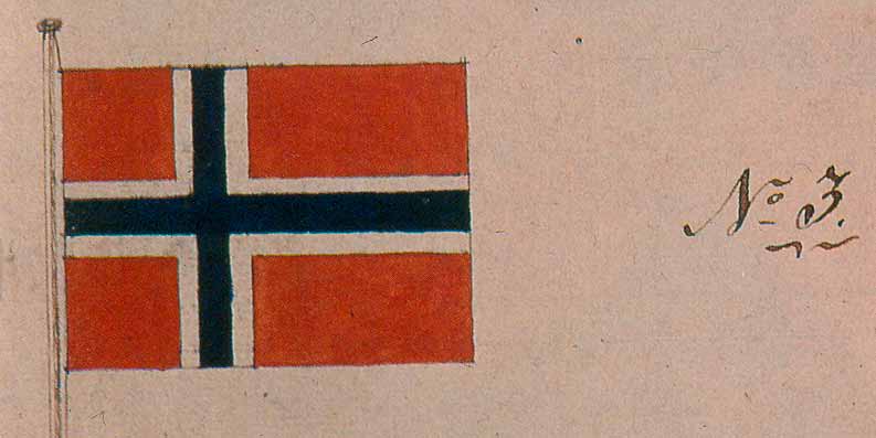 Lov om det norske flagget Bestemmelsen om flagget var tatt. Nå skulle Stortinget utforme lover og regler for det nye flagget og bestemme flaggets formelle utseende.