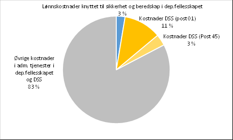 Det har av enkelte blitt stilt spørsmål ved hvorvidt ressursene som brukes på sikkerhet og beredskap i departementsfellesskapet og DSS utgjør en god ressursbruk.