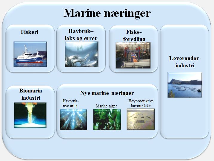 3 Dagens struktur i de marine næringene i Nord-Norge 3.1 De marine næringene i Nord-Norge I dette arbeidet har vi benyttet følgende inndeling: Figur 3-1.