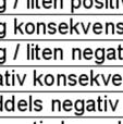 (stort positivt middels positivt lite/intet t middels negativt stort