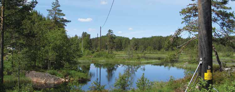 Driftssikkerhet Hvordan påvirkes nettet? Universalkabelkonseptet har ved en rekke installasjoner vist sin driftssikkerhet.